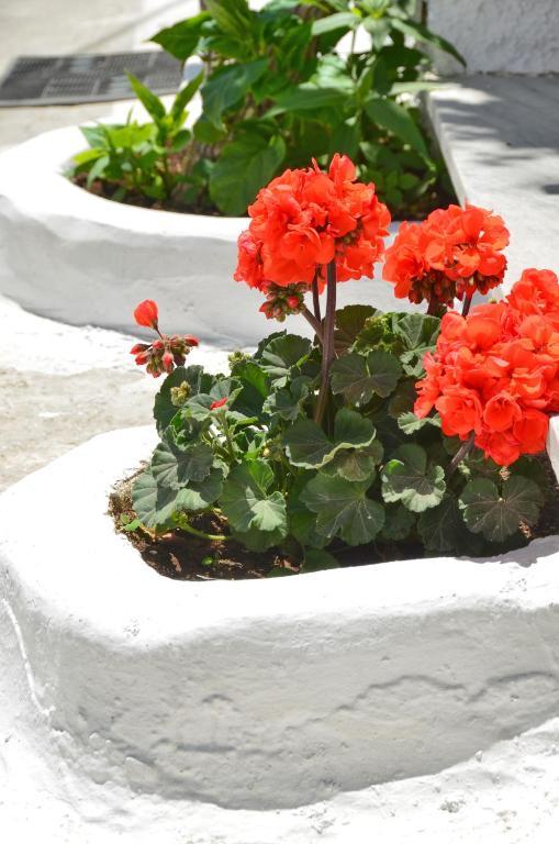 Blue Sky Aparthotel Naxos City Room photo